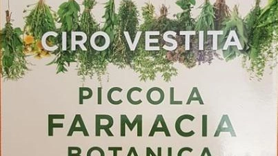 Curarsi con le piante e i rimedi naturali Il manuale di Vestita