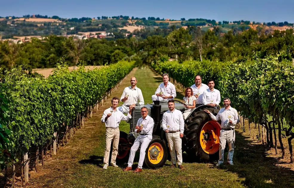 Bianchello del Metauro, alla scoperta della nicchia enoica marchigiana con i 'Vignaioli d'Autore'