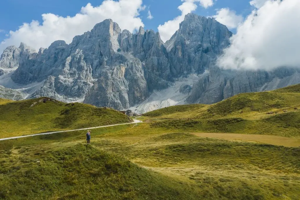 Tra foglie e aria pura: a piedi nudi nel bosco