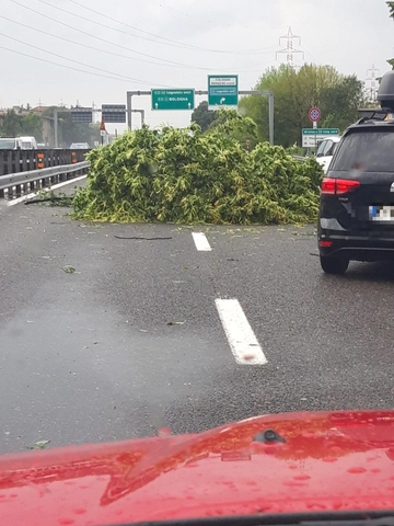 Nubifragio tra Milano e Monza, alberi si abbattono sulla Tangenziale Est