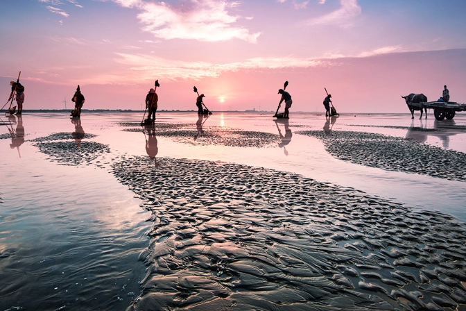 Nantong la spiaggia dorata