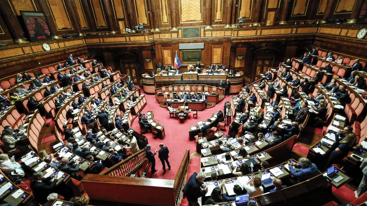 Discussione in Senato (Ansa)