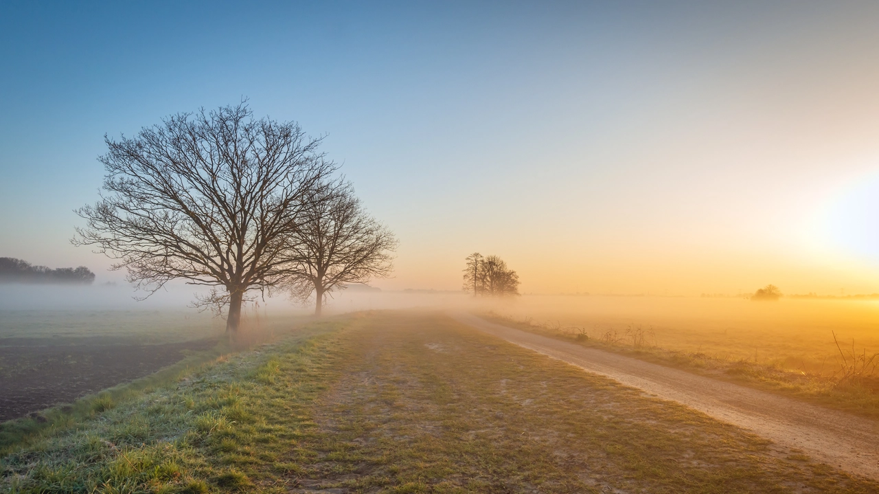 Nebbia, inverno (foto iStock)