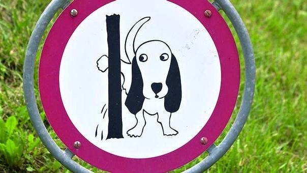 Chivasso, multe a chi non pulisce la pipì dei cani