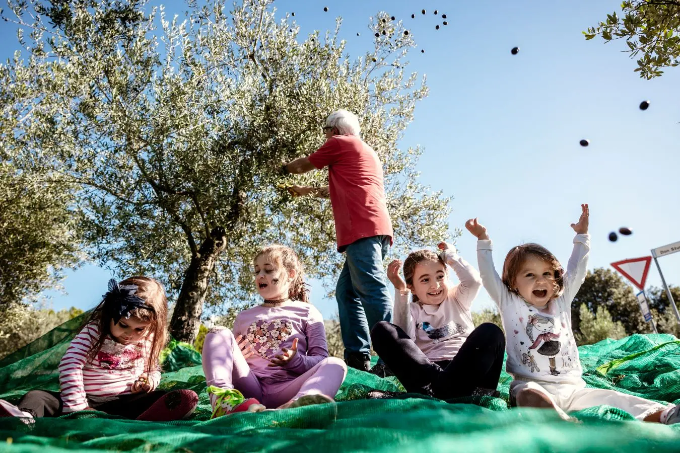 Frantoi Aperti in Umbria 2023, torna l’evento simbolo dell'oleoturismo in Italia