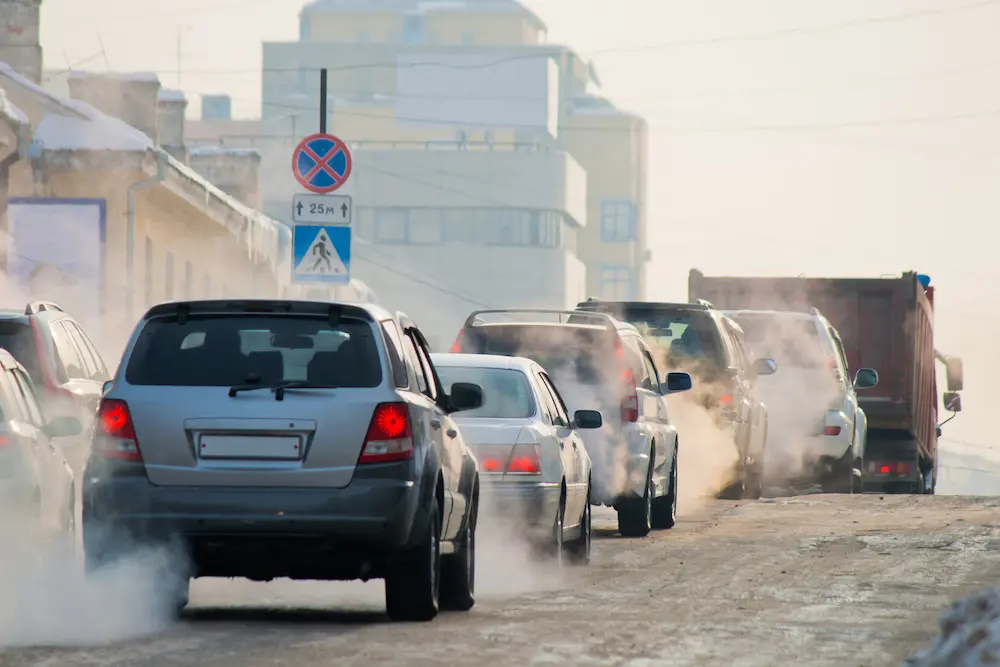 Ambiente, scoperto (forse) modo economico per togliere anidride carbonica dall'atmosfera