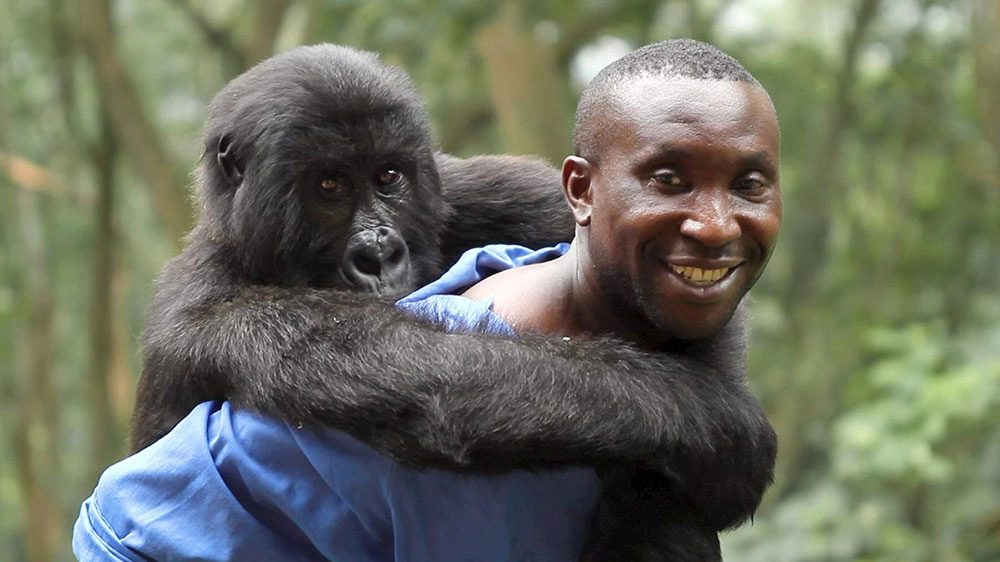 Una scena di 'Virunga' – Foto: Grain Media/Violet Films/Netflix