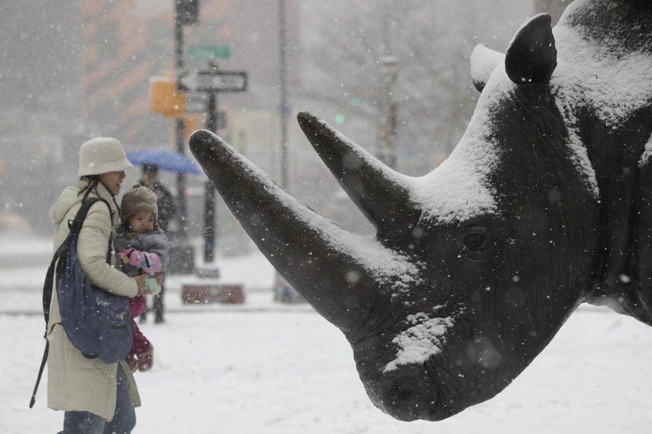 Bufera di neve a New York (Ansa)