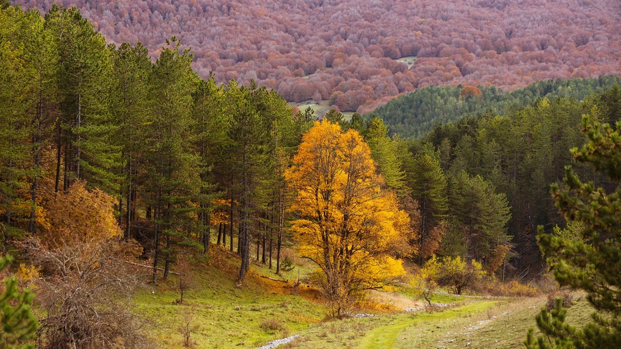 Foliage d’autore nel Parco Nazionale di Abruzzo e Molise, una natura senza paragoni