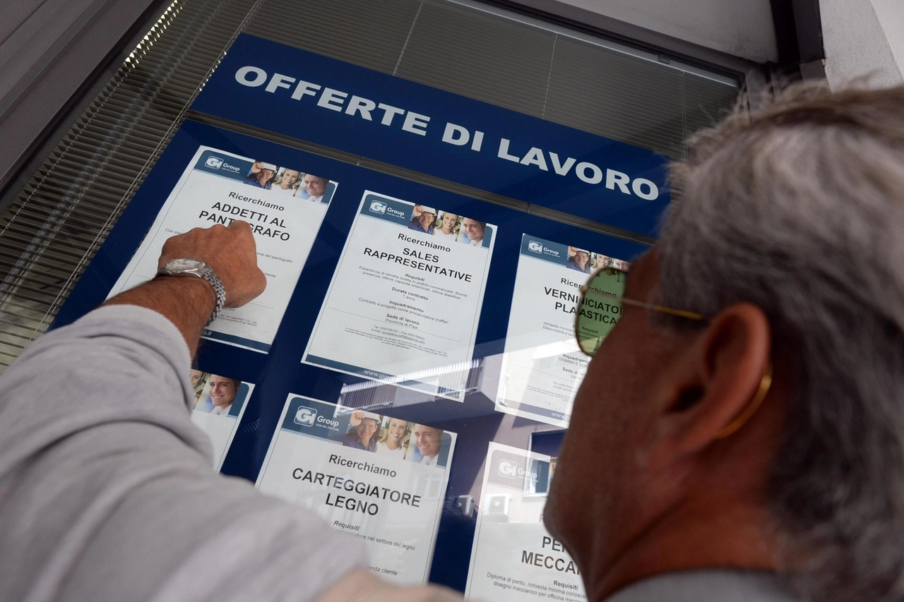 Offerte di lavoro