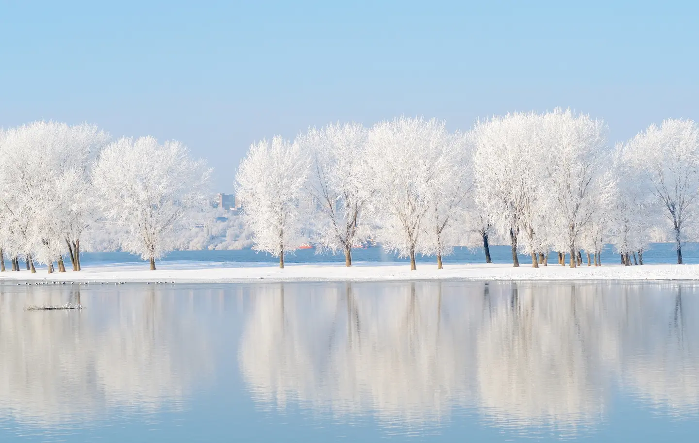 Previsioni meteo Befana 2020, veloce blitz polare