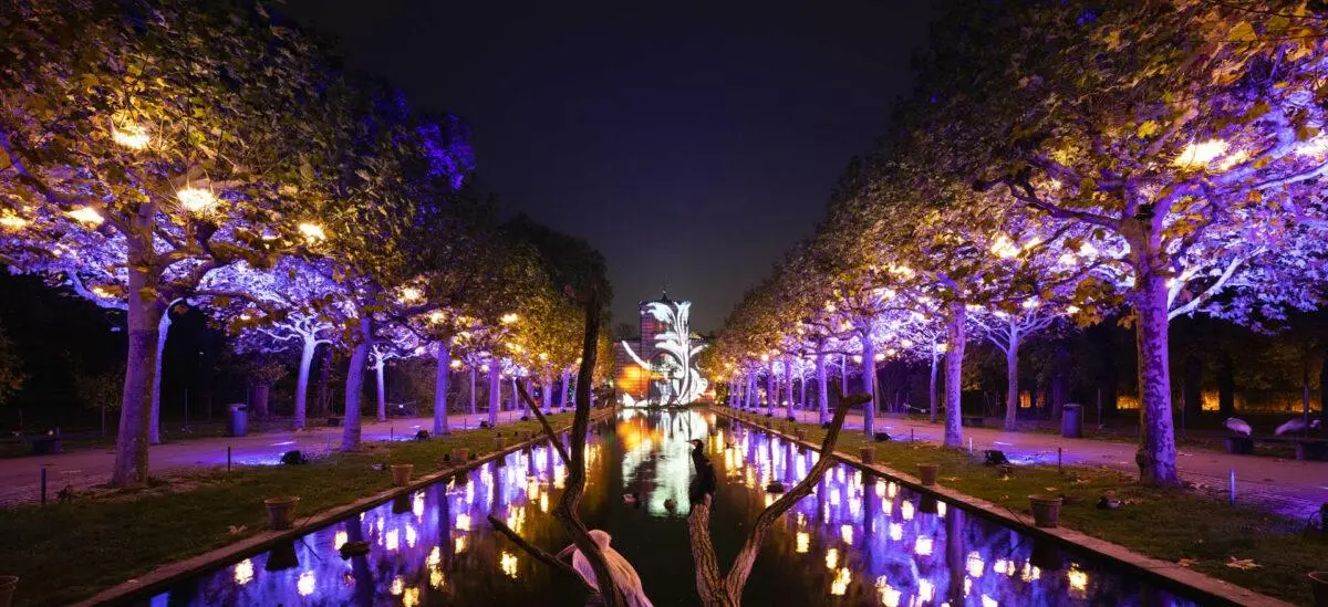 Natale a Roma, “Incanto di luci” debutta all'Orto Botanico