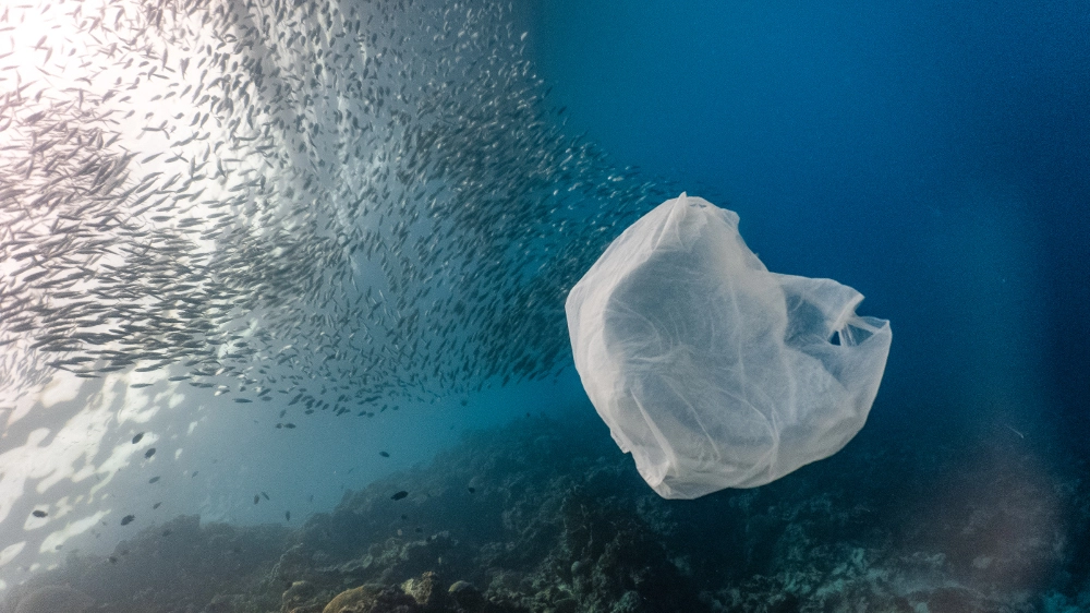 Foto: Jao Cuyos / iStock