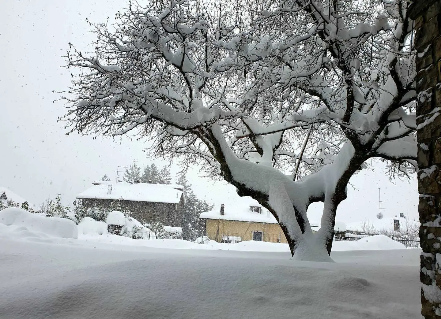 Previsioni meteo: venerdì nuovo affondo gelido. Neve a bassa quota al Centro Sud