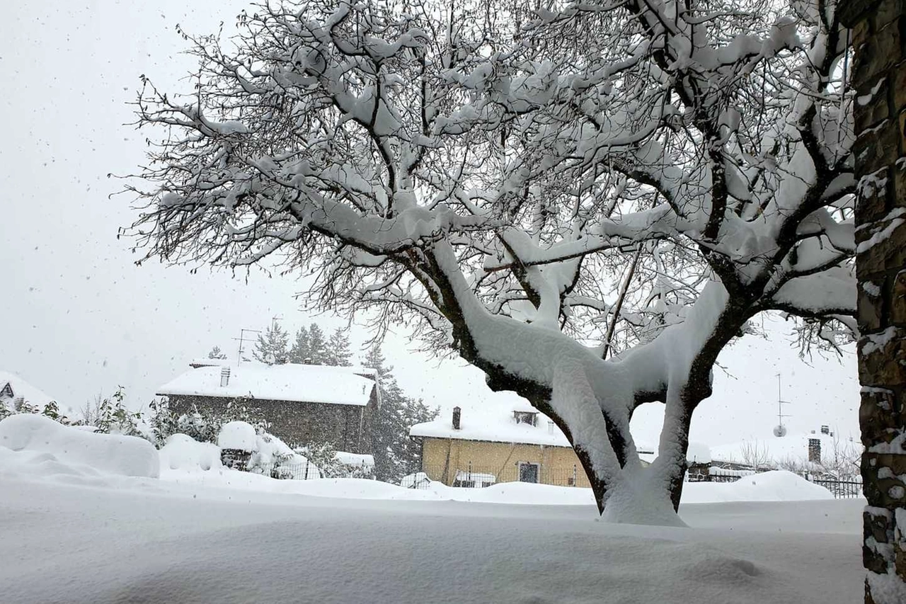 Neve, maltempo (foto Dire)