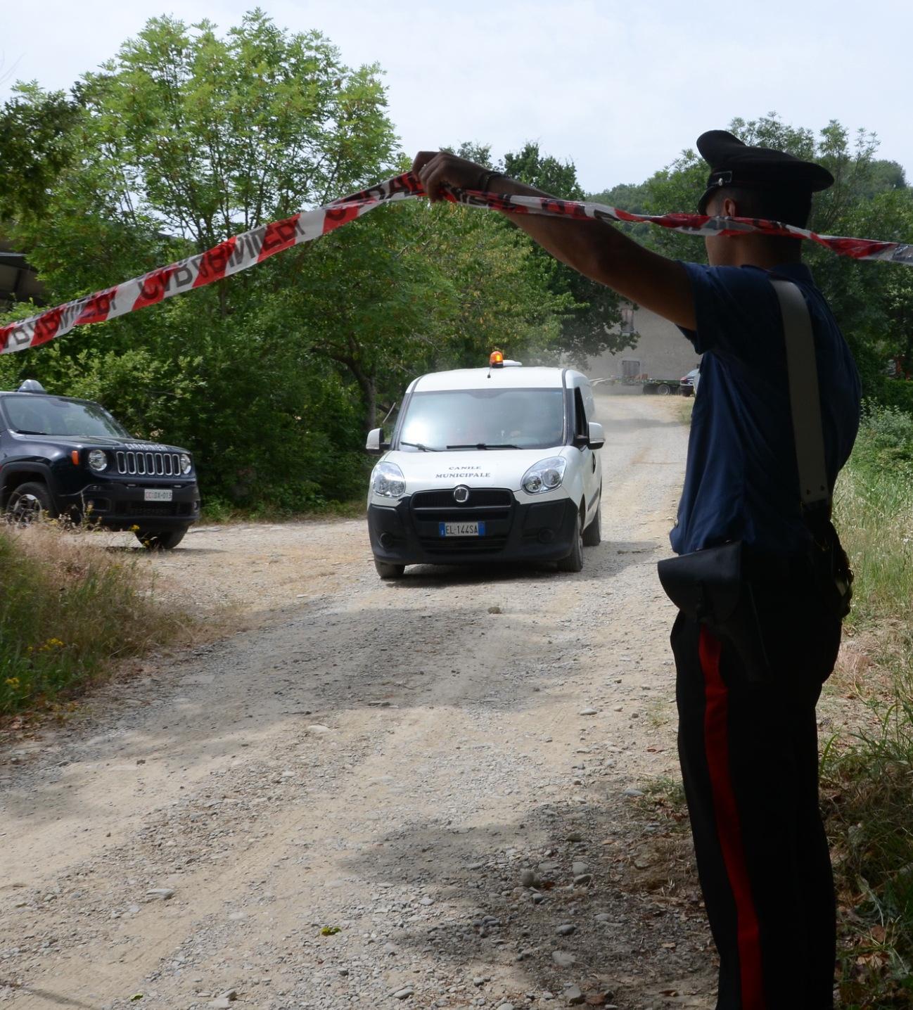 Ucciso E Decapitato Nel Bosco Sparita La Testa, è Un Mistero