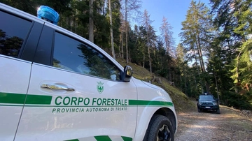 Runner ucciso dall’orso, lettera della mamma: “Indignati”. Lav contro Fugatti