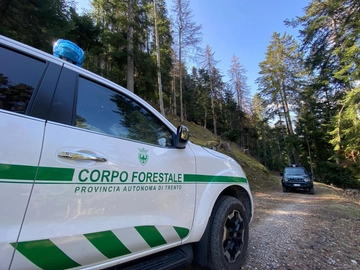 Runner ucciso dall’orso, lettera della mamma: “Indignati”. Lav contro Fugatti