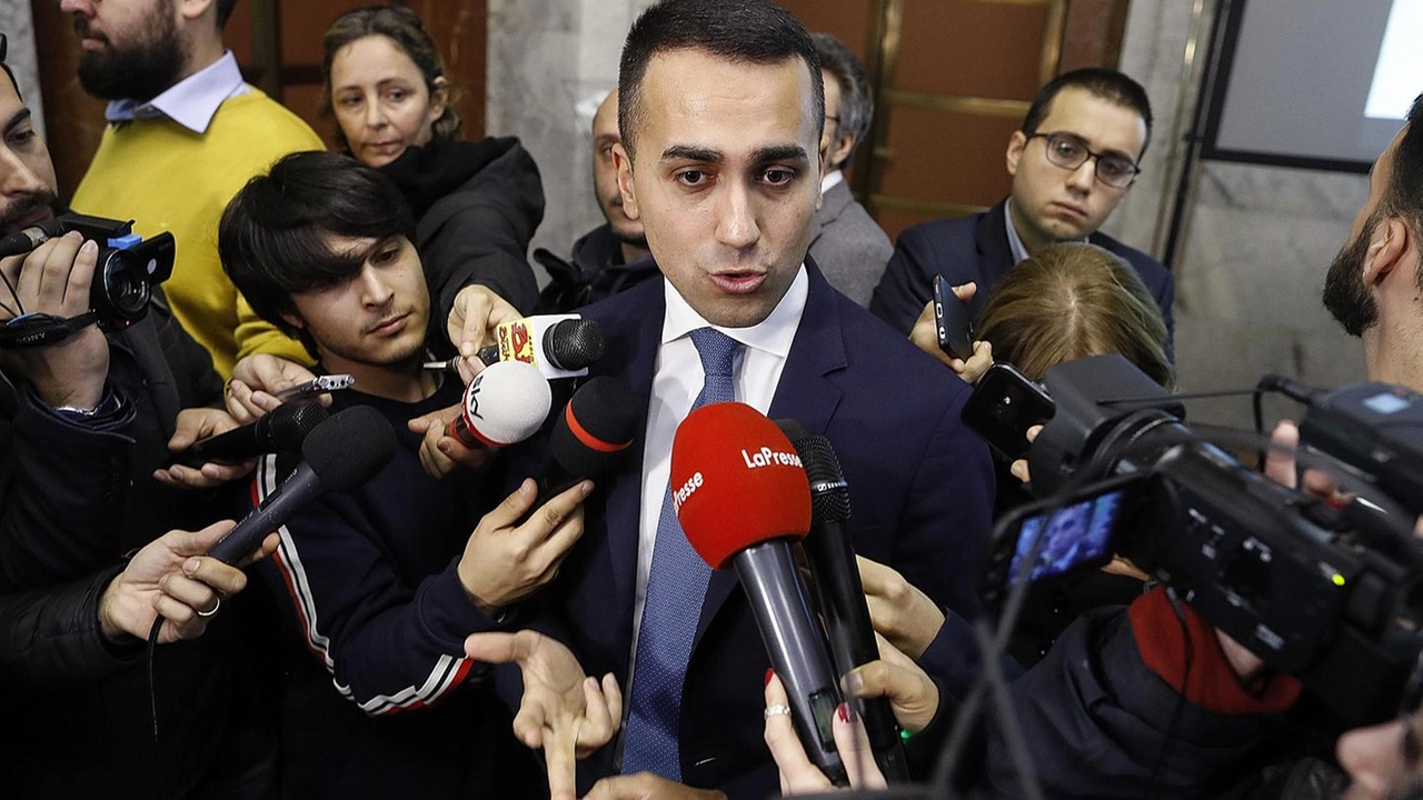 Luigi Di Maio, vice premier e ministro del Lavoro e dello Sviluppo Economico (Ansa)