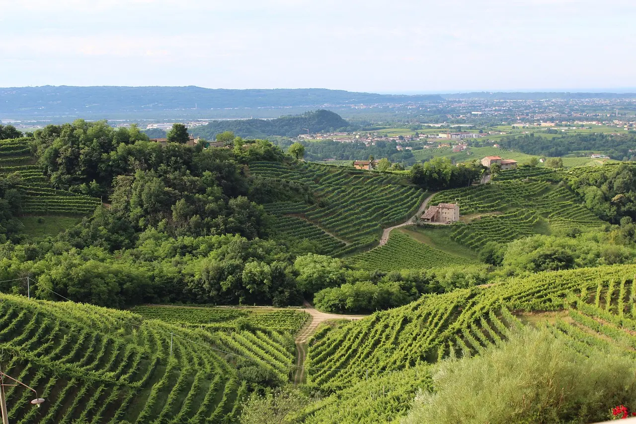 Un percorso tra valli e vigneti: il nuovo cammino del Prosecco