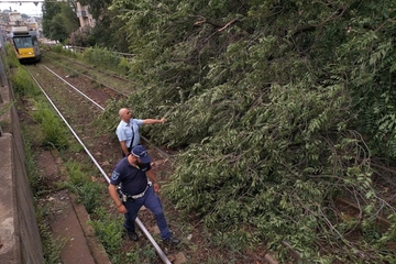 Ferrovia, ripresa la circolazione a Pavia sulla linea Milano – Genova: ritardi e cancellazioni