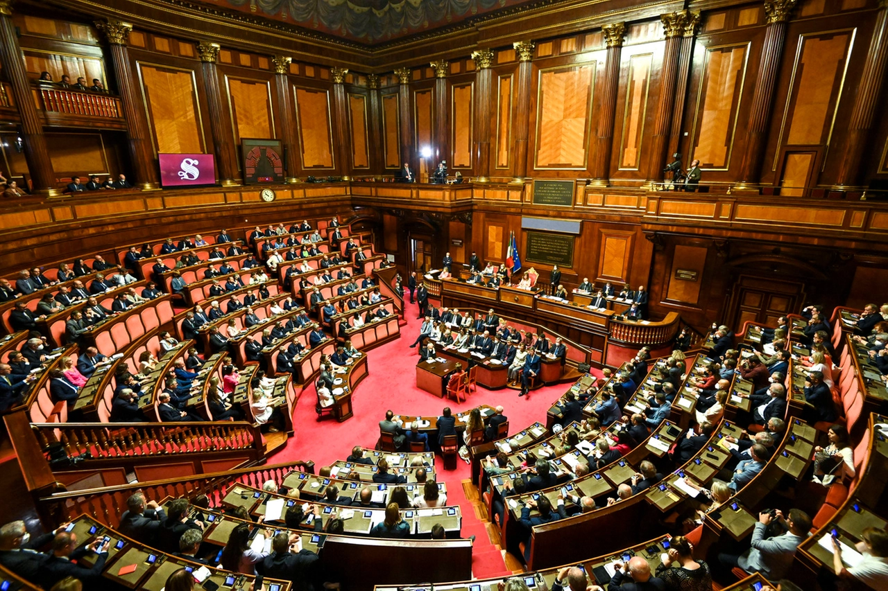 Draghi in Senato (Ansa)