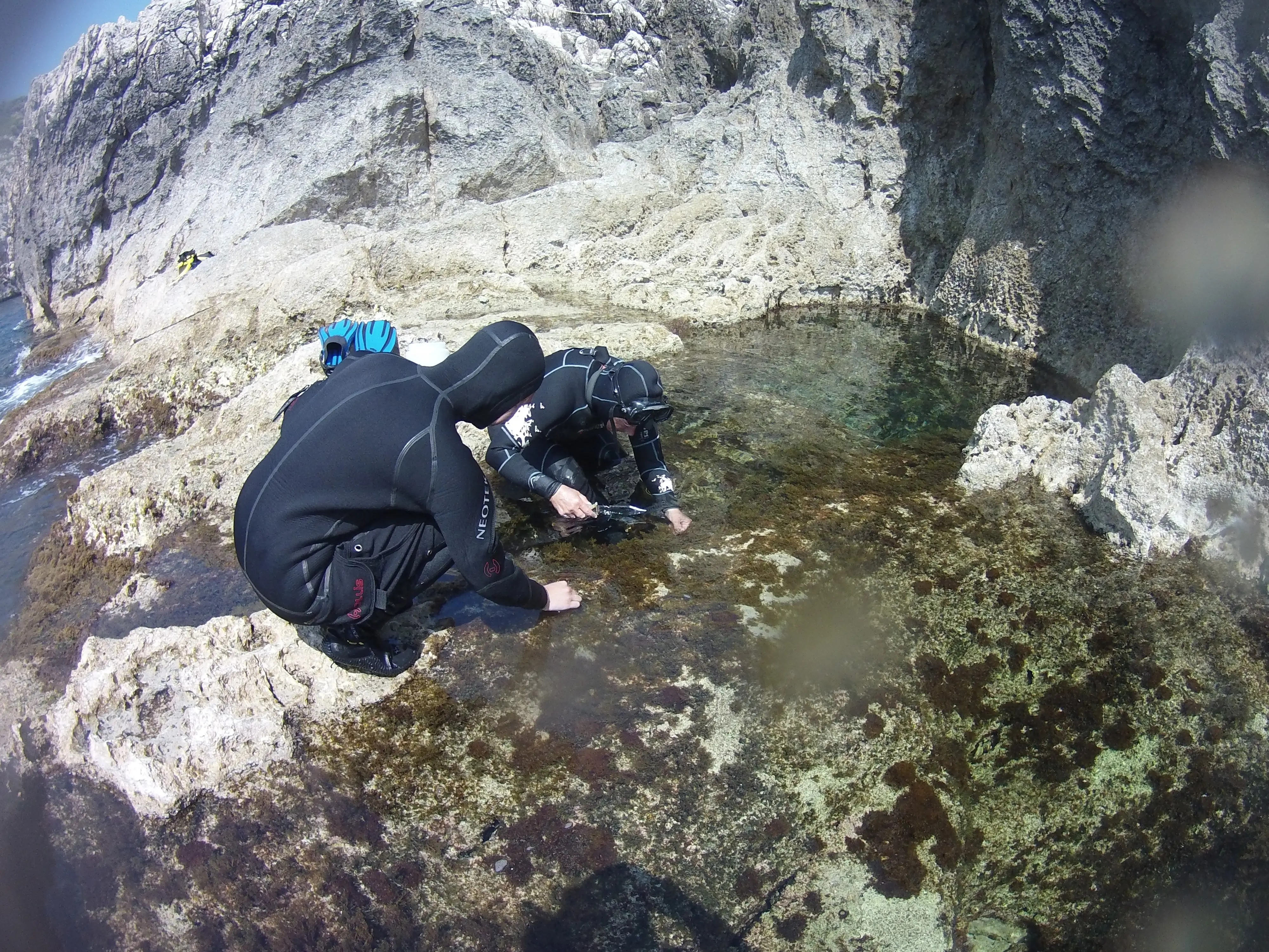 Faraglioni di Capri picconati per pescare datteri di mare: due condanne a 6 e 4 anni