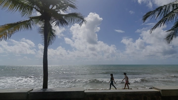 Clima, toccato il record di temperatura negli oceani: 20,96 gradi