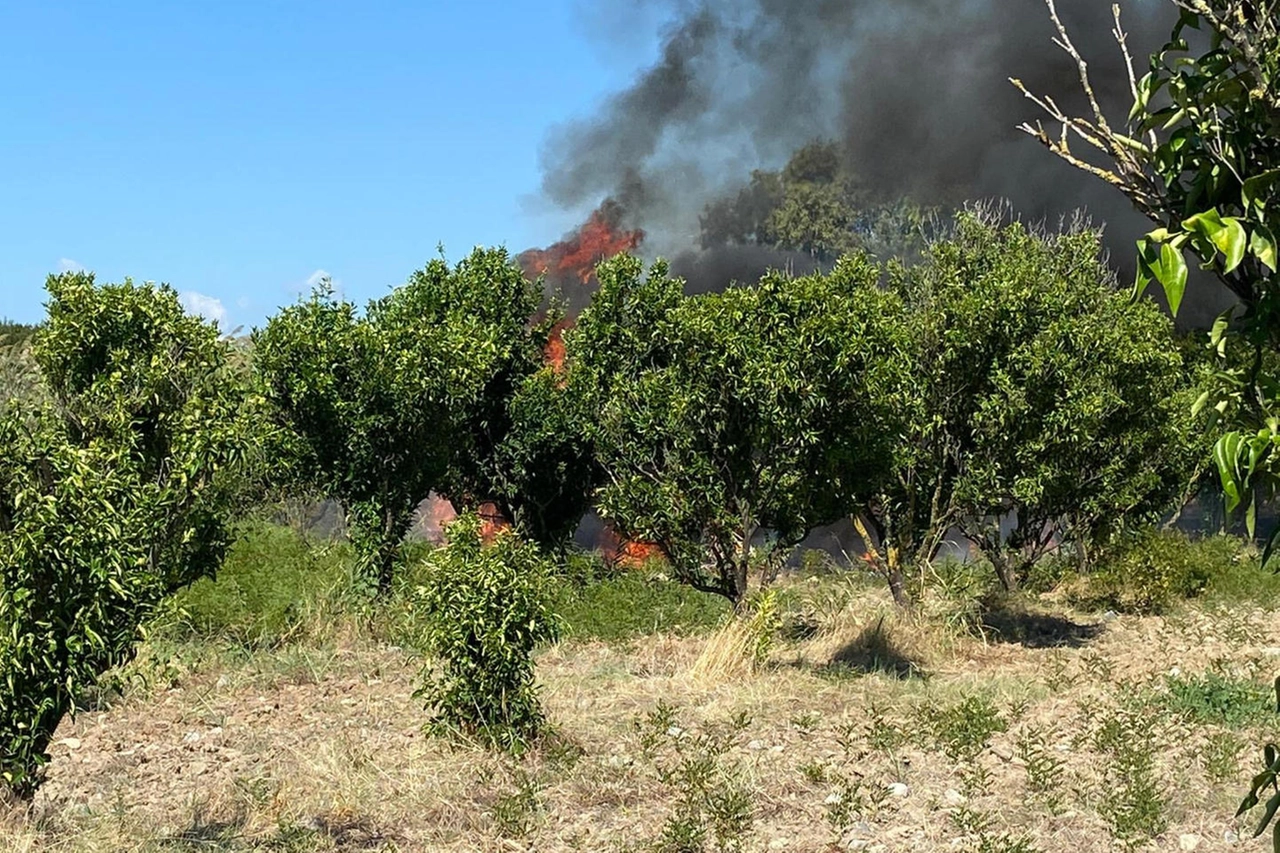 Precipita aereo nel cosentino (Ansa)