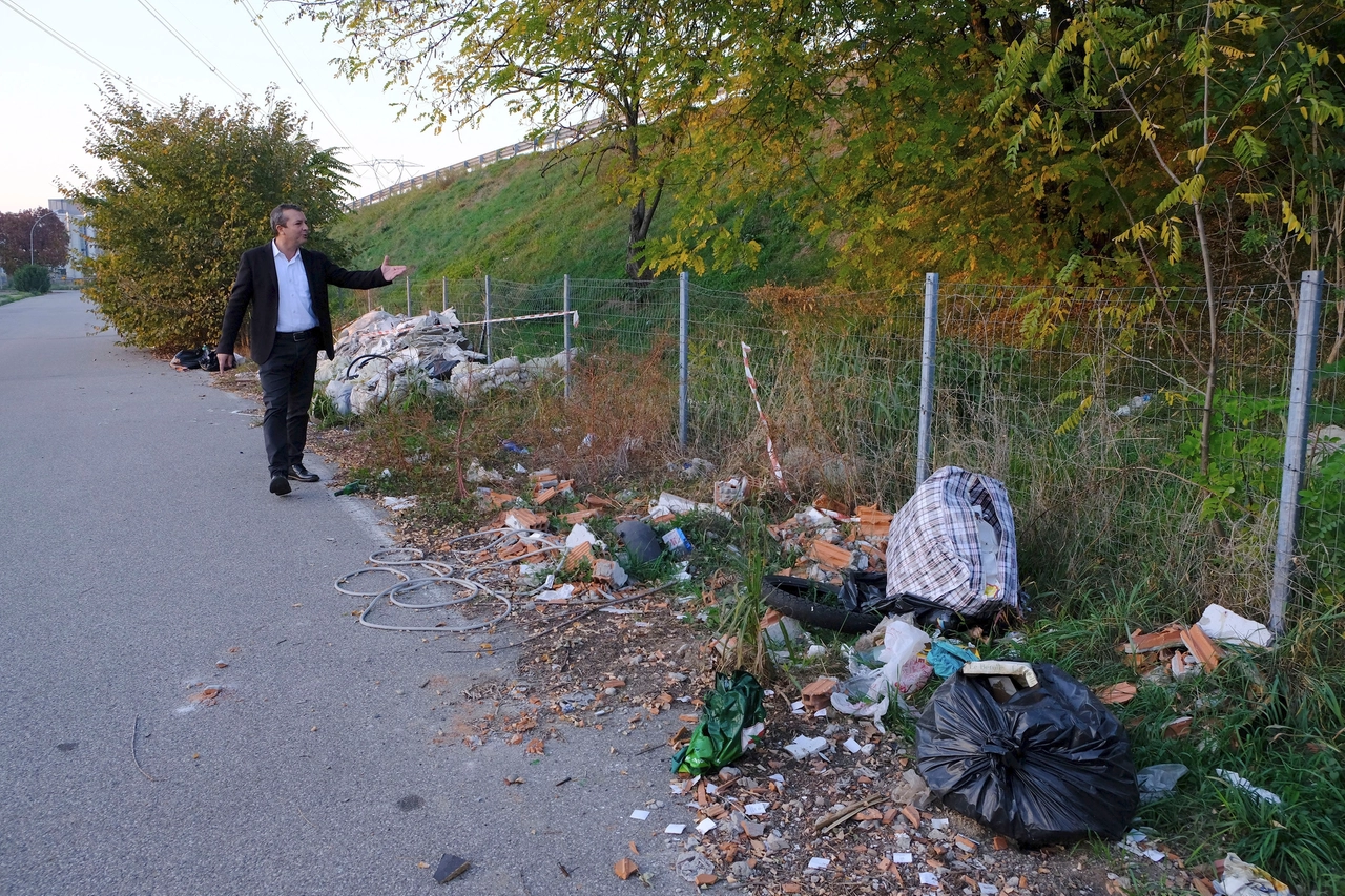 Discariche nei pressi delle tangenziali (Trezzano sul Naviglio)