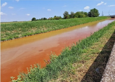 Canale rosso sangue a Ravenna: colpa di un’alga, del sole e del caldo