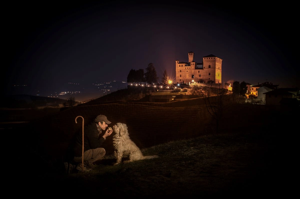 Ricerca del tartufo nei pressi del Castello di Grinzane Cavour