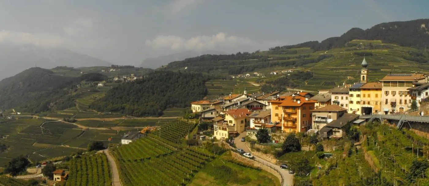 Val di Cembra, il cuore pulsante della rinomata viticoltura trentina