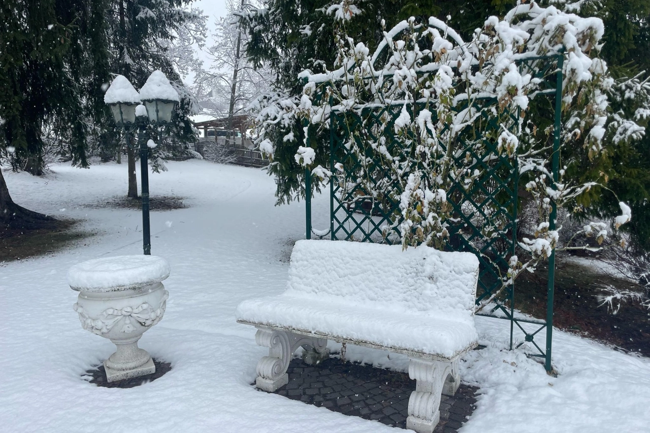 Torna la neve in Alto Adige