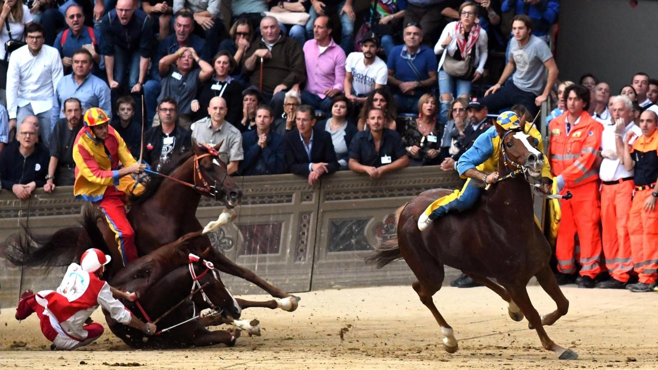 Siena, il palio delle cadute (Ansa)