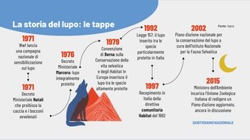 Lupi (o cani cecoslovacchi): aggressioni da Vasto a Palombaro. “Ora in campo anche i droni”