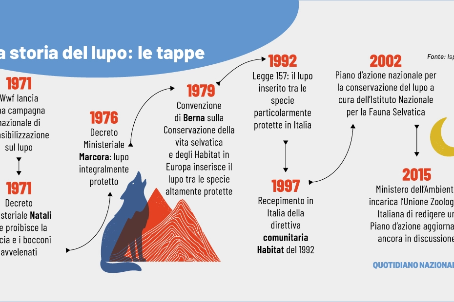 La storia del lupo