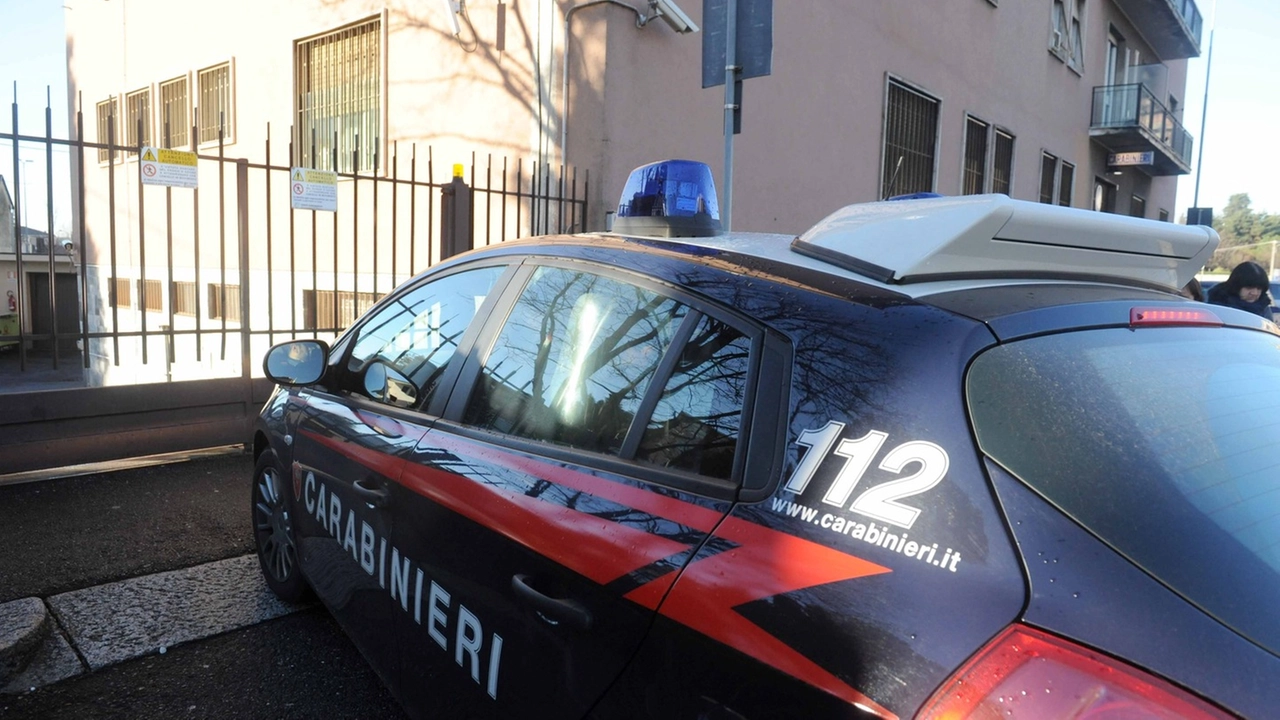 Carabinieri, foto generica (Newpress)