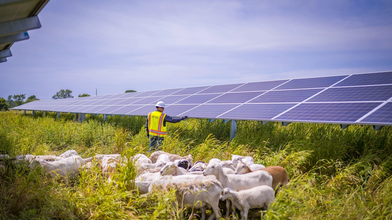 A Tarquinia un impianto agrivoltaico da record