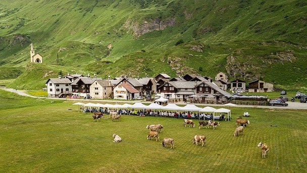 Festival dei Fiori e But Gourmet: la Val Formazza celebra il patrimonio botanico e le eccellenze culinarie