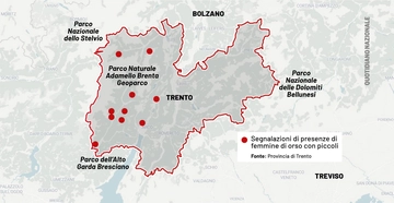 Orsa JJ4: la sua storia, quella della mamma Jurka e dei tre fratelli (problematici)