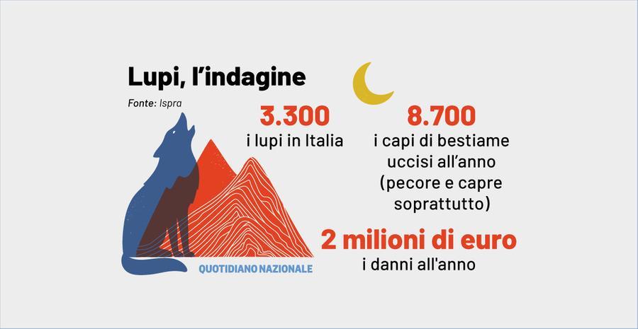 Spray anti orso: dopo il runner ucciso le richieste per renderlo legale in  Italia. Come funziona nei parchi americani