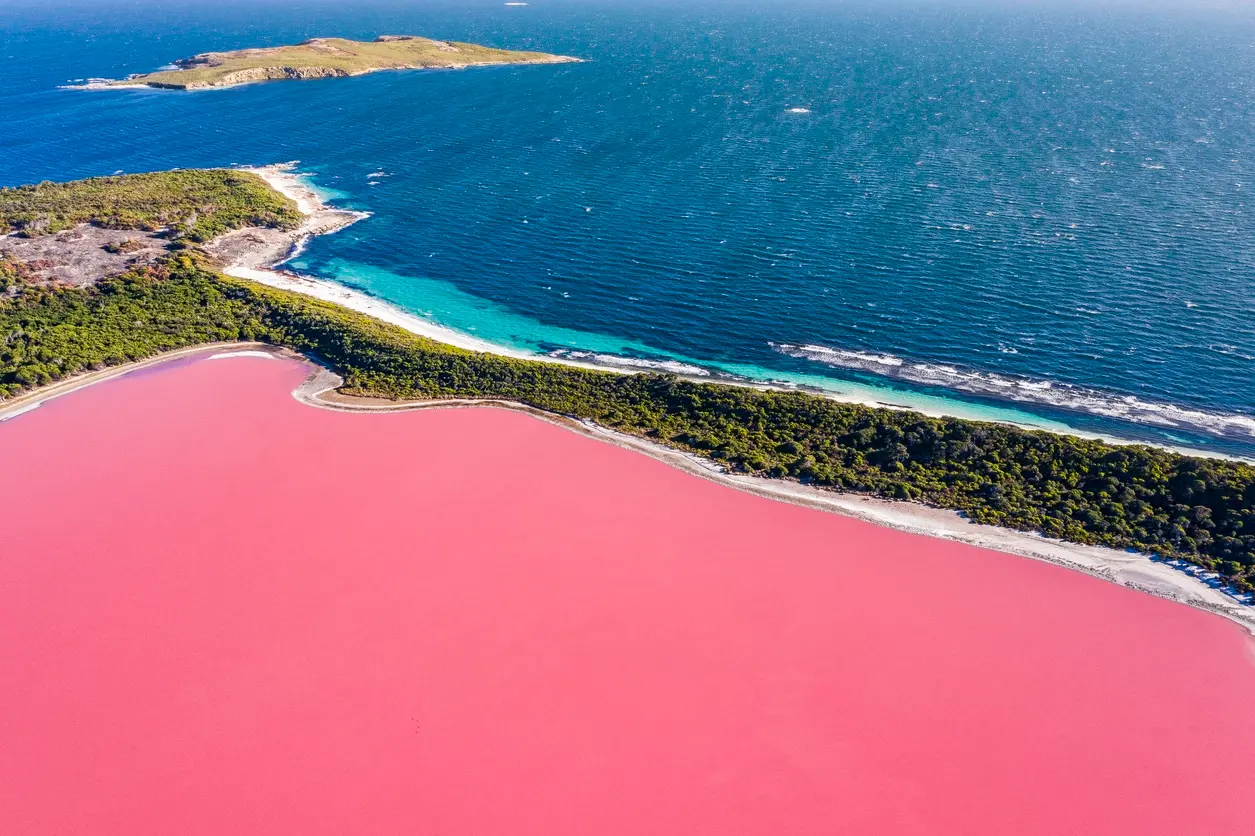 Western Australia: agli antipodi per vedere il lago rosa e la baia dei canguri