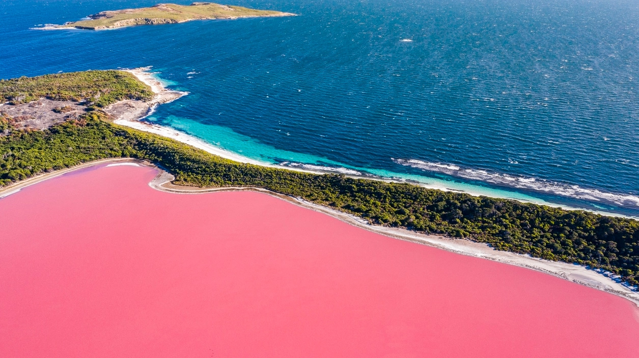 Lago rosa Western Australia