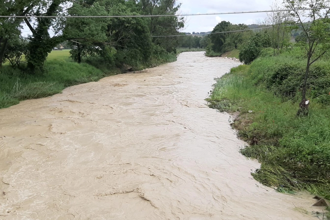 Il fiume Misa a Ostra (Ansa)