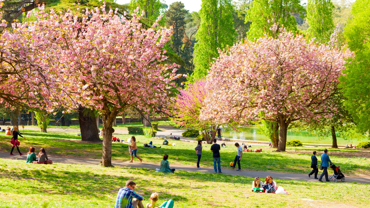 Persone si godono la giornata di pasquetta al parco 