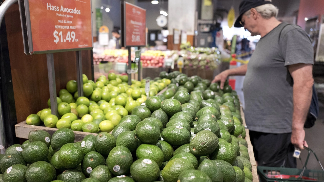 Avocado in un supermercato (Ansa)