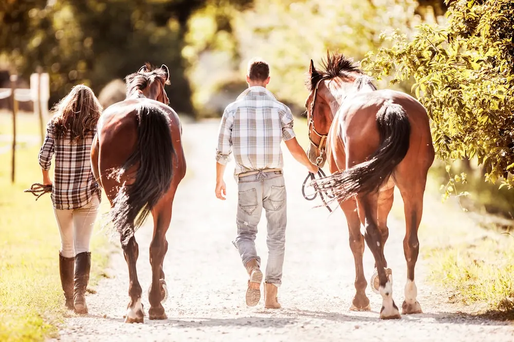 Ippovie: le passeggiate più belle da fare a cavallo in Italia