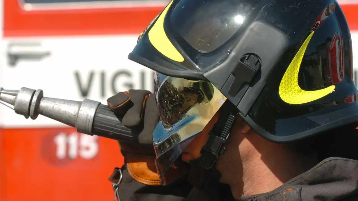 Incendio nel vivaio: è doloso