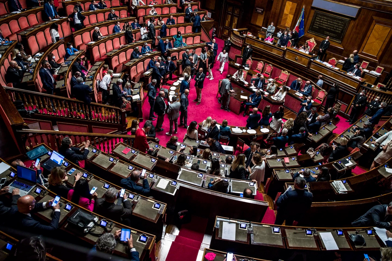 Il Senato durante il voto di fiducia del 14 luglio (Ansa)